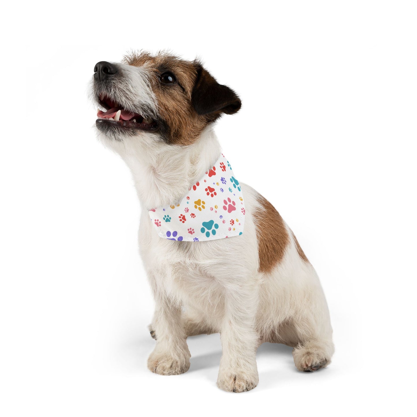 Colorful Paw Print Pet Bandana Collar