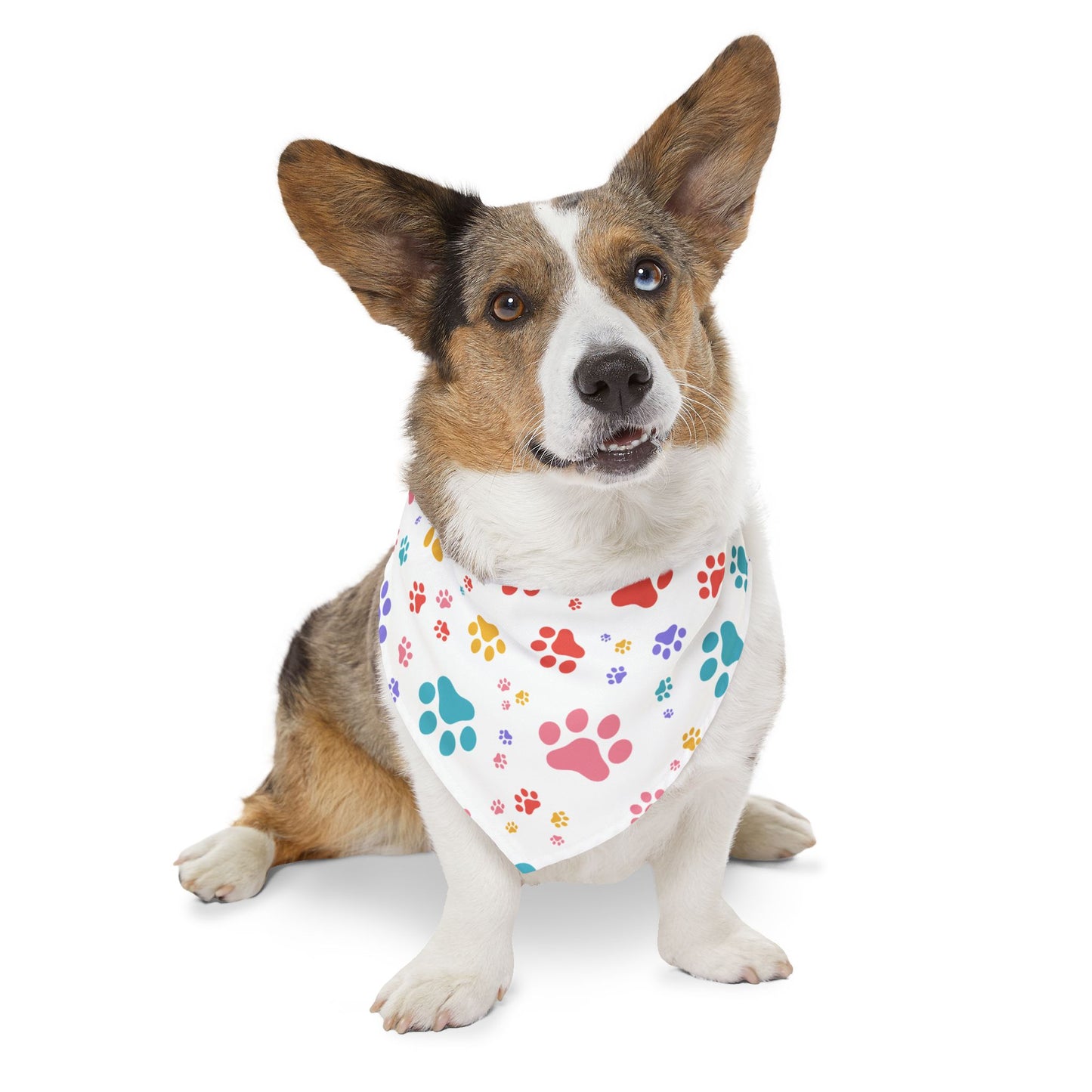 Colorful Paw Print Pet Bandana Collar
